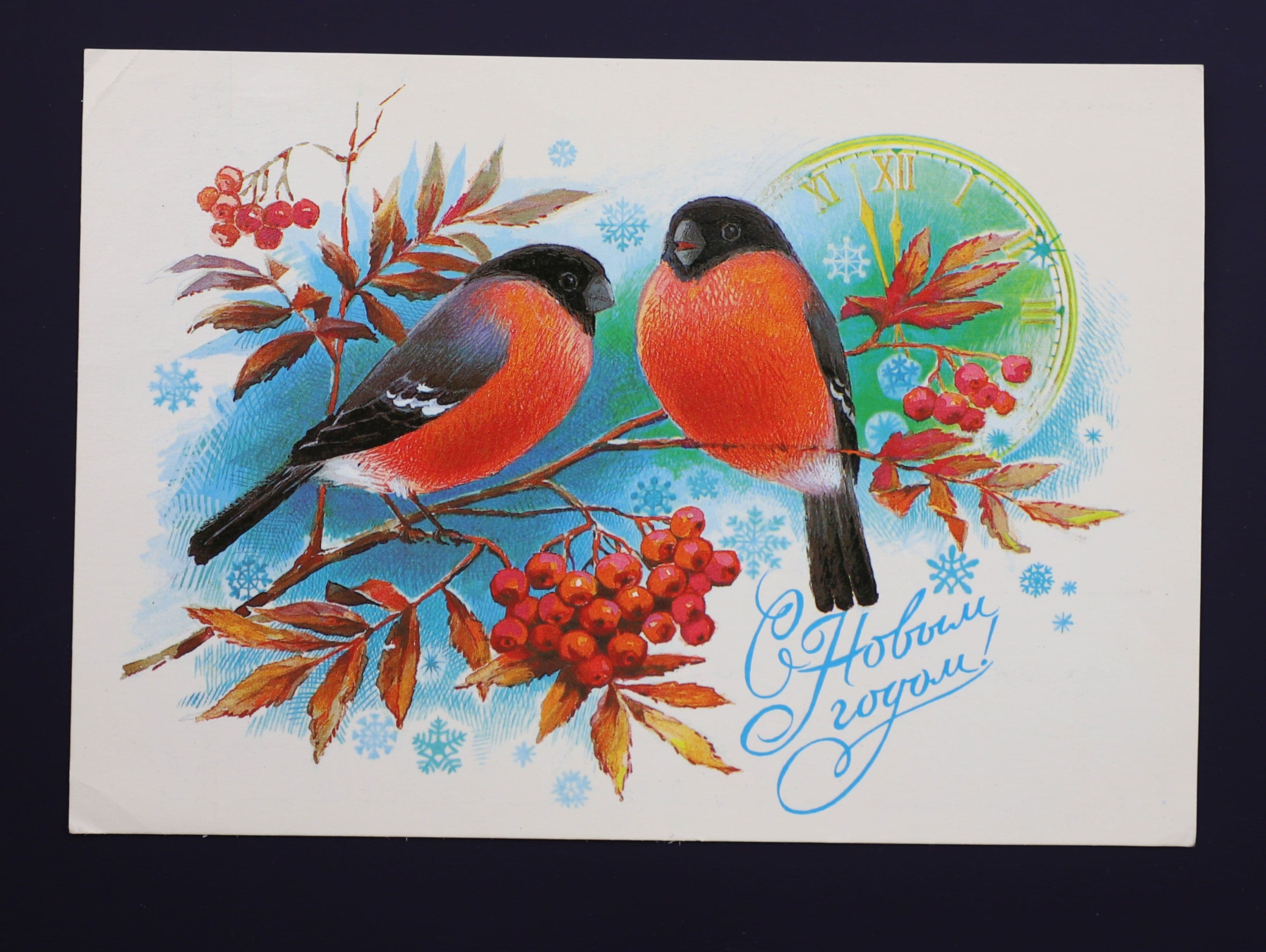 Документ: cor027.JPG