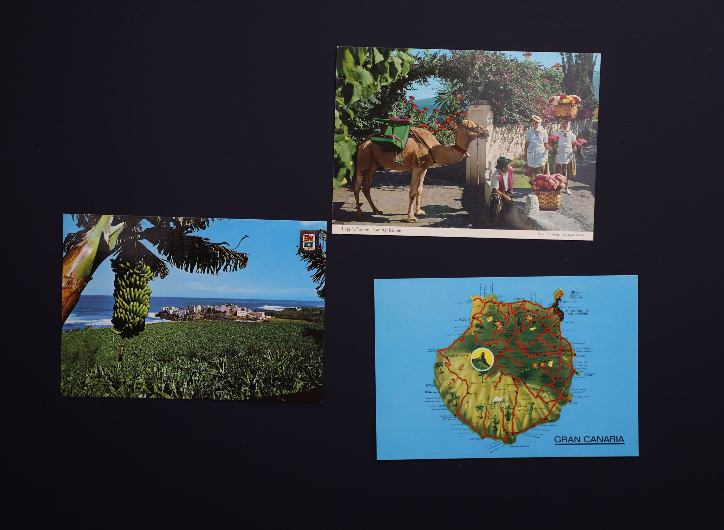 Документ: cor060.JPG