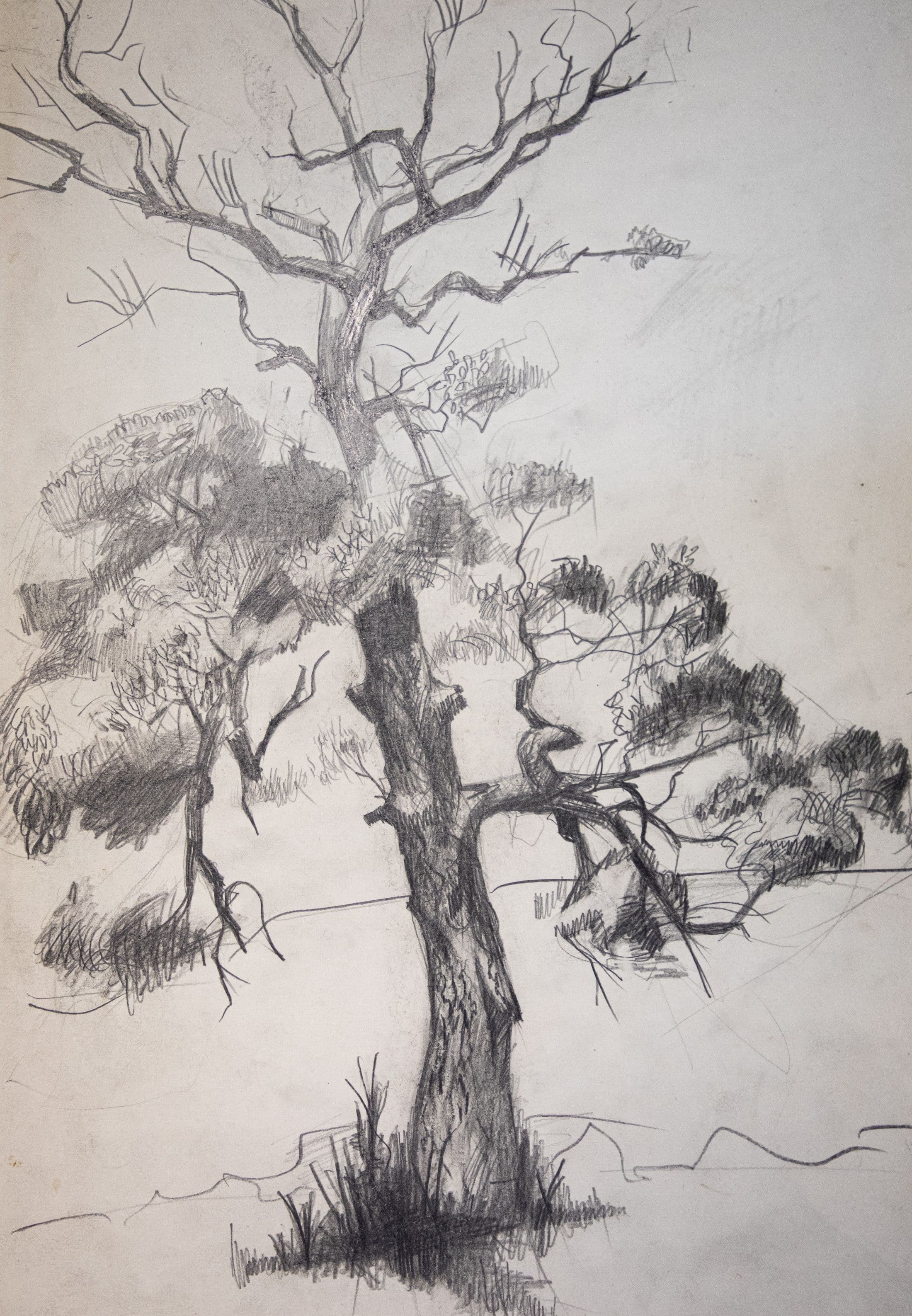 Документ: g155.jpg