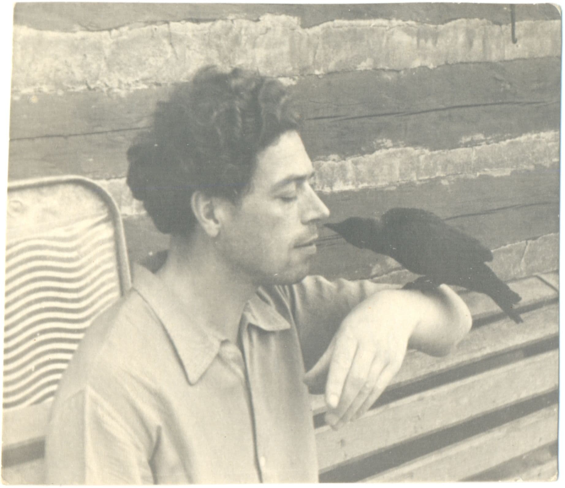 Фотграфия: ph084.jpg